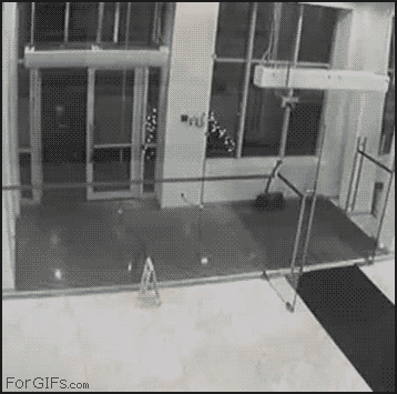 worsethanmyotherblog:  Even funnier than a bird flying into a window