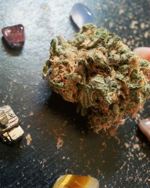 Dank Purps