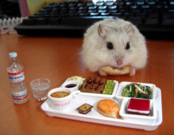 Awww he has a tiny meal