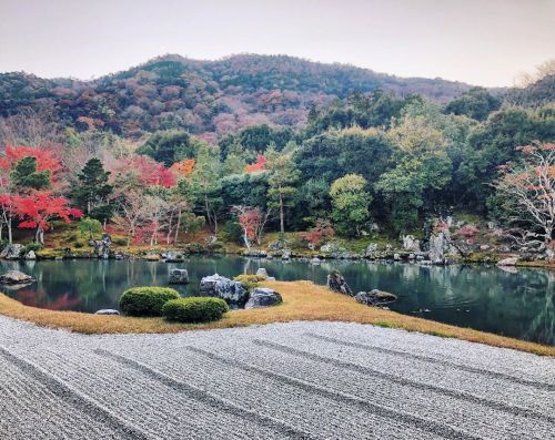 ⛳️1636. 天龍寺庭園 Tenryu-ji Temple Garden, Kyoto ーー #世界遺産 にも構成されている、日本庭園の最高傑作のひとつ。室町時代に禅僧 #夢窓疎石 が作庭した曹源池