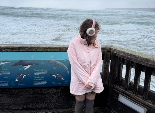 Looking For Orcas