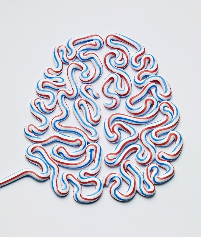 fer1972:  Brains Made of Newspapers, Food and Toothpaste by Kyle Bean 