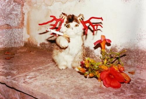 An unexpected radish came to the party… - Juergen Teller, Smoking Cat.- Cristobal Balenciaga,