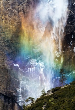 biifrost:  djferreira224:  Rainbow Falls - Upper Yosemite Falls, Yosemite National Park, California  ॐ 