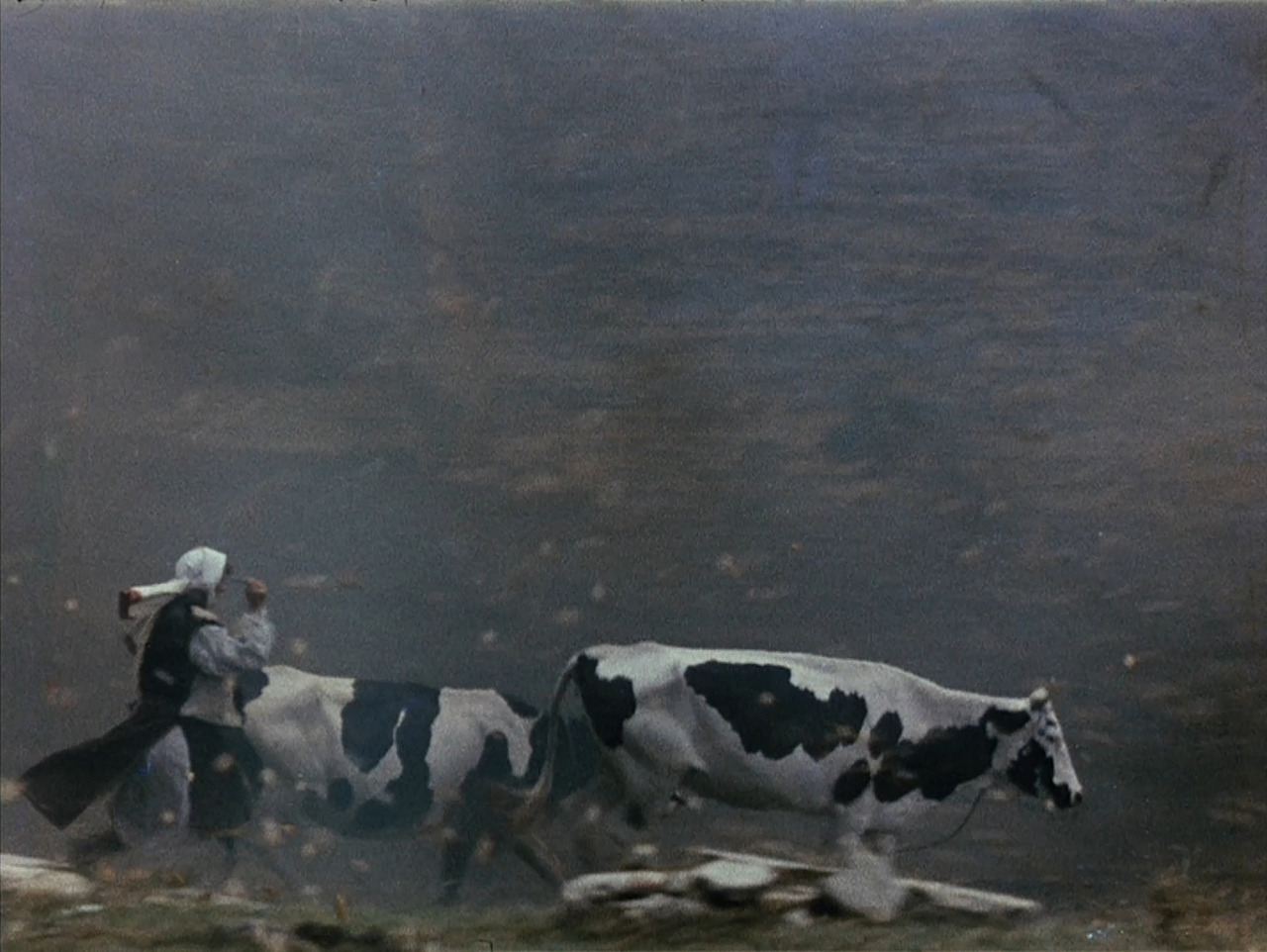 liinza: Shadows of Forgotten Ancestors, Sergei Parajanov, 1965