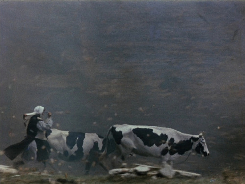 liinza:Shadows of Forgotten Ancestors, Sergei Parajanov, 1965