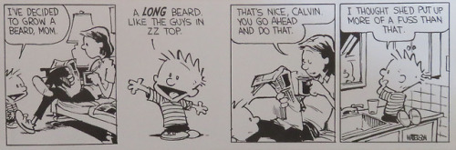 dailycalvinandhobbesenglish:(September 19, 1986)