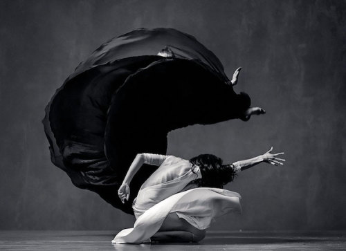 mymodernmet:Striking Black & White Portraits of Elegant Dancers Caught in Captivating Motion
