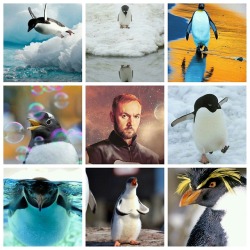 gallifreyburning:  drwhoboards: Doctor Who moodboard: Narvin + penguins (requested by: @mystkamm) 