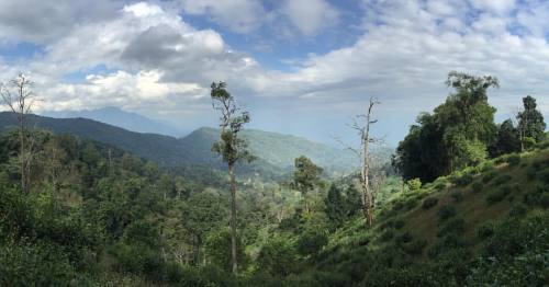 marcelekkel: Whilst #mountainbiking the #himalayanroute in #chiangdao we stopped for a minute just 