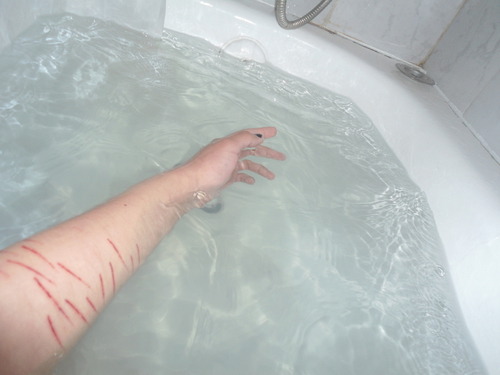 relaapse:  una-chica-ingenua:  gah en We Heart It.  //