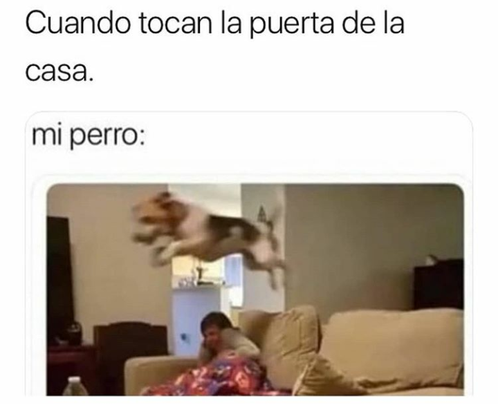 Weena lml 