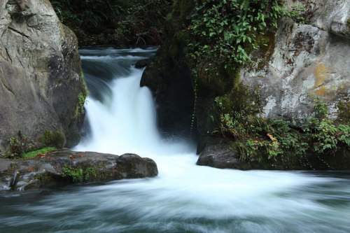 Whatcom Falls Jumping Rocks by Dos Con Mambo on Flickr.