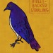 possumnest:you&rsquo;ll never believe thismore birds