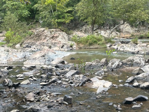 First Time I Ever Saw This Place! Turtles Everywhere!!!! Never Seen A Place Quite Like It!!