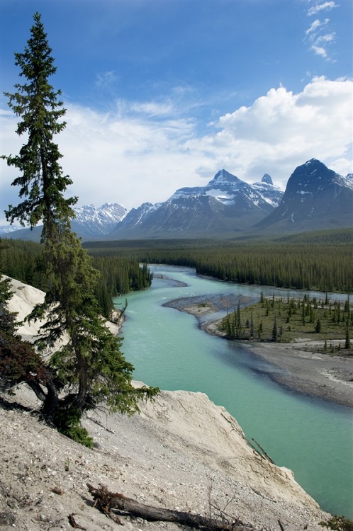 photogrfun:  Photographer: Observer 