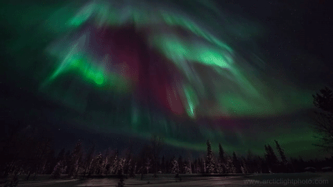 nubbsgalore:polar spirits