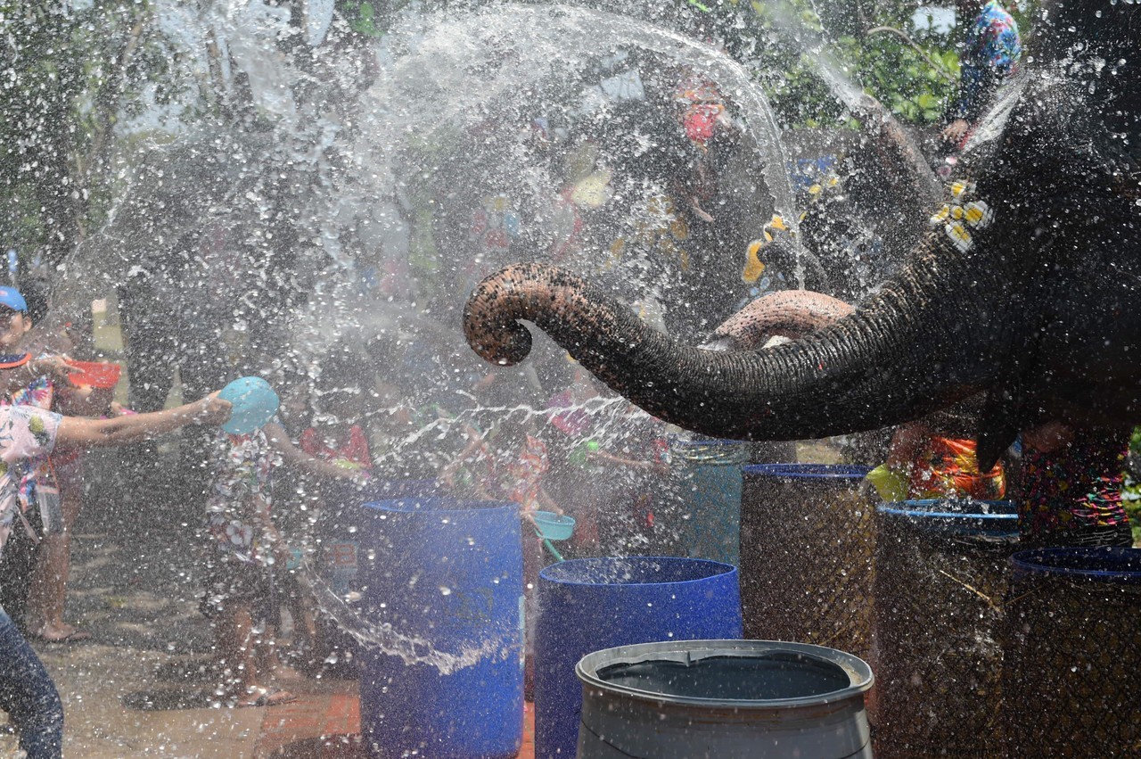 AÑO NUEVO TAILANDÉS. Elefantes y humanos se lanzan agua durante las celebraciones del Festival Songkran en Ayutthaya, Tailandia. Este Festival conmemora el Año Nuevo tailandés y dura tres días. (EFE / AFP)
MIRÁ TODA LA FOTOGALERÍA—>