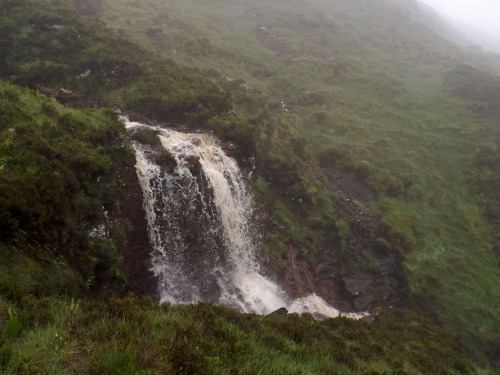 sfitzgerald-art: June in Ireland, dense fog.