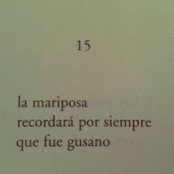 aguadelacanilla:  sandrahurt4:  La mariposa recordará por siempre que fue gusano.   dale sí sabemos leer