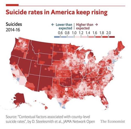 mapsontheweb:American suicide rates, 2014-2016. GDP and corporate profits are record high.What else 