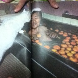 When In china be sure to view photos of old woman taking a bath in oranges while saying hello to cats. 欢迎中国。所以你去中国你看老人洗澡也橘子。你好猫。