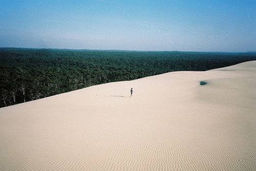 v0tum:  by michel nguie