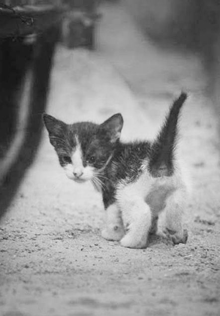 Pinterest