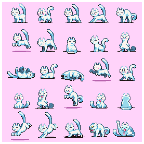 Cat poses.