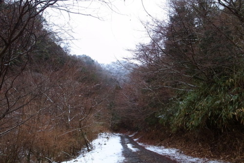 3.26 sunMorning ride.麓の雨は標高を上げるにつれて雪に変わる。今シーズン最後のSnow rideになるだろうか。♫この道の向こうに / 巨勢典子https://youtu.be/0