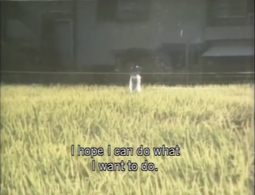 verachytilovas: EMBRACING (1992) dir. Naomi Kawase