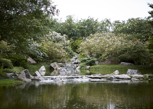 Japanese Gardens&hellip; My love for plants and all things beautiful took me to the Japanese Gar