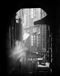 60年前の「香港へタイムスリップ」匂いそうなほどの光と影に、心を奪われる | DDN JAPAN