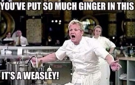 ecstasyofdeath:  justanother-fuckedup-paper-girl:  An array of all my favourite Gordon Ramsay memes  I’ve been watching a lot of Hell’s Kitchen lately. 