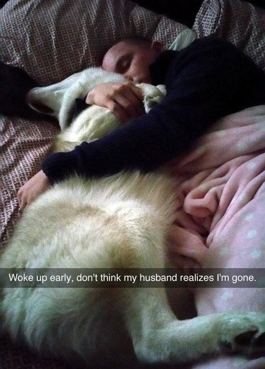 tastefullyoffensive:(photo by wolfdoglife)