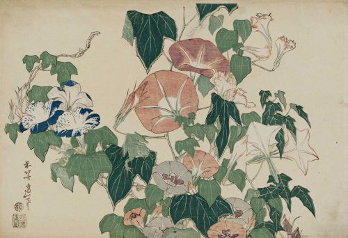 irycente:Katsushika Hokusai (some flowers)1760 - 1849Japanese painter 