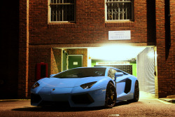 automotivated:  Celeste Phoebe Aventador (by KELLER-Photography)