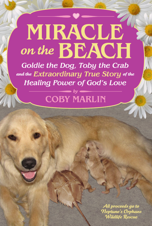 liartownusa:Miracle on the Beach: Goldie the Dog, Toby the Crab and the Extraordinary True Story of 