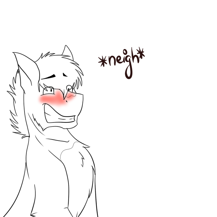 XD