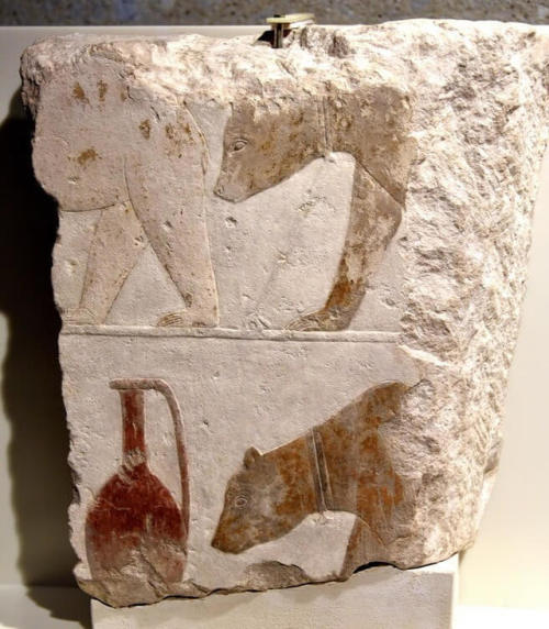 Relief of Syrian Bears Fragment of a relief depicts a Syrian tribute in the form of bears and a vess