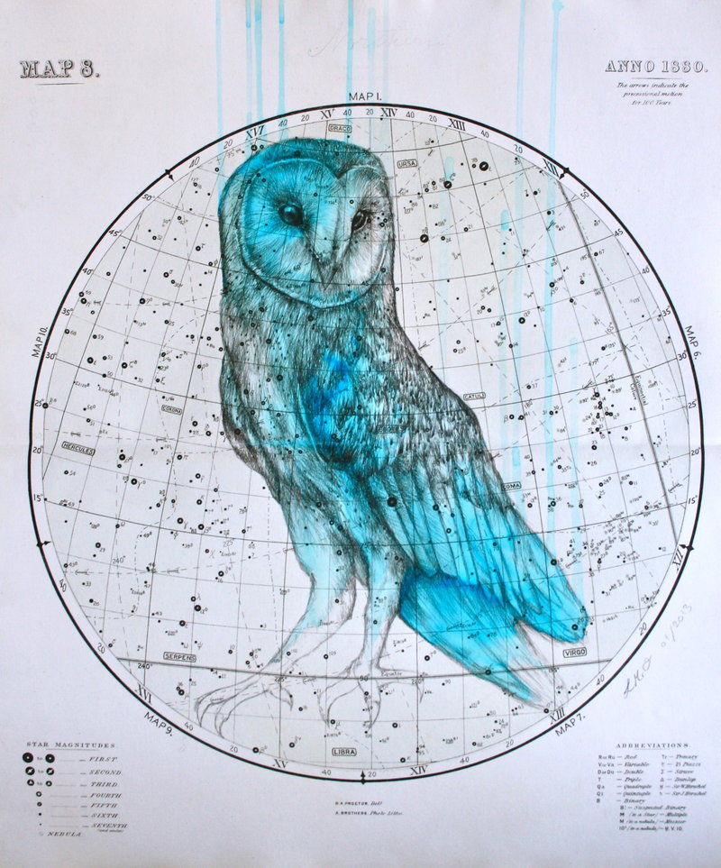 sosuperawesome:  Louise McNaught, on Tumblr  Shop