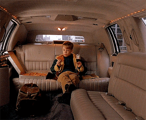 junkfoodcinemas: Home Alone 2: Lost in New York (1992) dir. Chris Columbus  