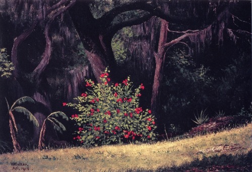 dappledwithshadow: Woodland Scene with Red-Flowered BushWilliam Aiken Walker (American, 1839-1921)19