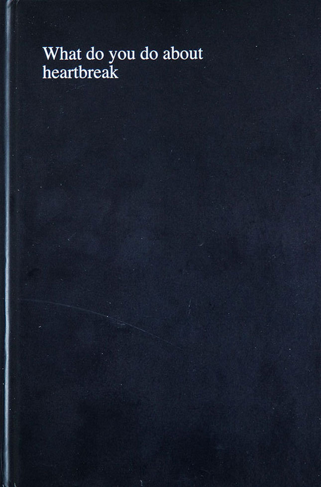 reliquaries:  What do you do about heartbreak, Sophie Barbasch, hardcover book, 2013