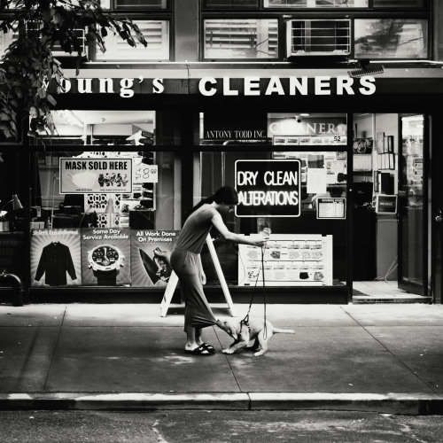 “we’ll go where it’s always spring”greenwich village, nyc.(Fuji X-T2)