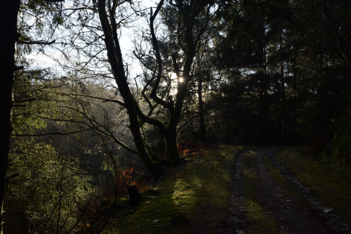 A Magic Winter Day around Dunkeld, ScotlandThe area around Dunkeld is not particularly mountainous, 