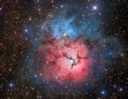 humanoidhistory:  The Trifid Nebula, M20, 5,000 light years away toward the constellation Sagittarius.