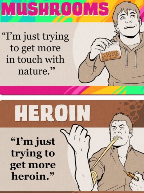 princessprick:    dumpyourweedbrah:  How the drugs you do, describe who you are. Credit to College Humor.  