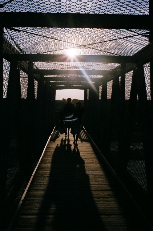 Backlightin&rsquo;// Dcal.Jacob 35mm at the overpass