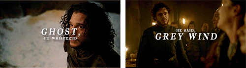 asbraveasrobb:Jon & Ghost  //  Robb & Grey Wind(for @queen–of–thorns)